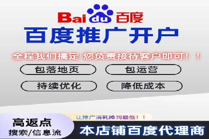 某电商平台的SEM运营实战与效果分析